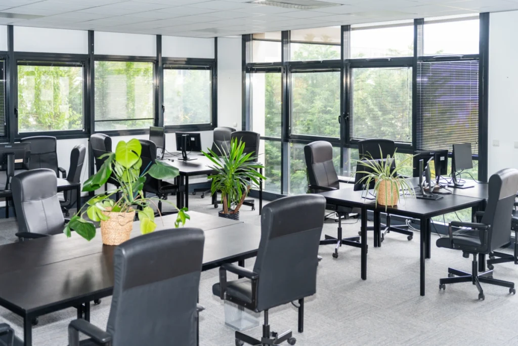 Grand bureau lumineux Focus le Crab coworking à Lyon 2